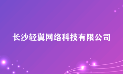 长沙轻翼网络科技