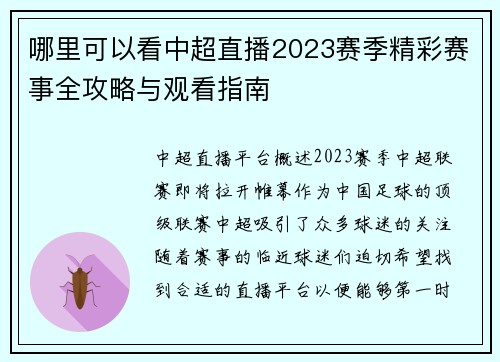 哪里可以看中超直播2023赛季精彩赛事全攻略与观看指南